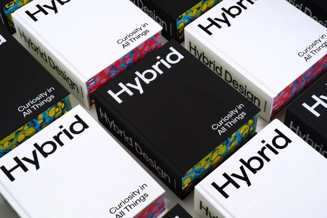 美国平面设计协会 AIGA(American Institute of Graphic Arts)2025 年最佳书籍与封面设计 · 作品图108