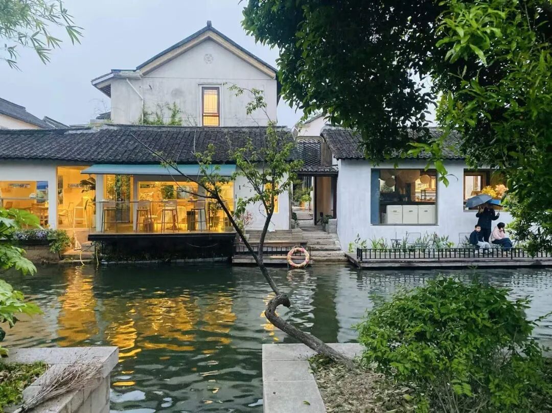 “看见·不可见之境”—苏州科技馆“微观世界”摄影作品征集大赛获奖公示 · 作品图176