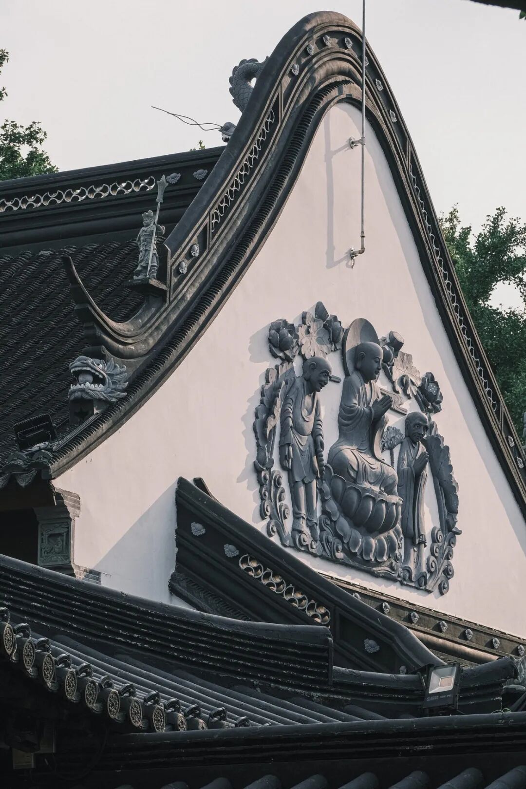 “看见·不可见之境”—苏州科技馆“微观世界”摄影作品征集大赛获奖公示 · 作品图188