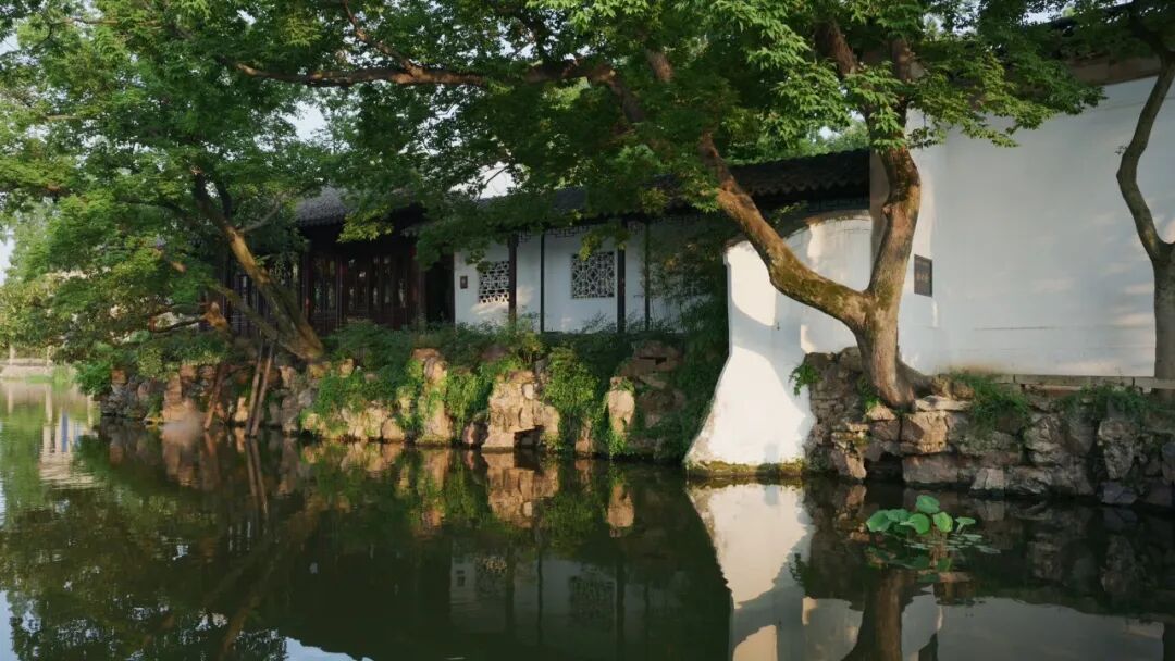 “看见·不可见之境”—苏州科技馆“微观世界”摄影作品征集大赛获奖公示 · 作品图252