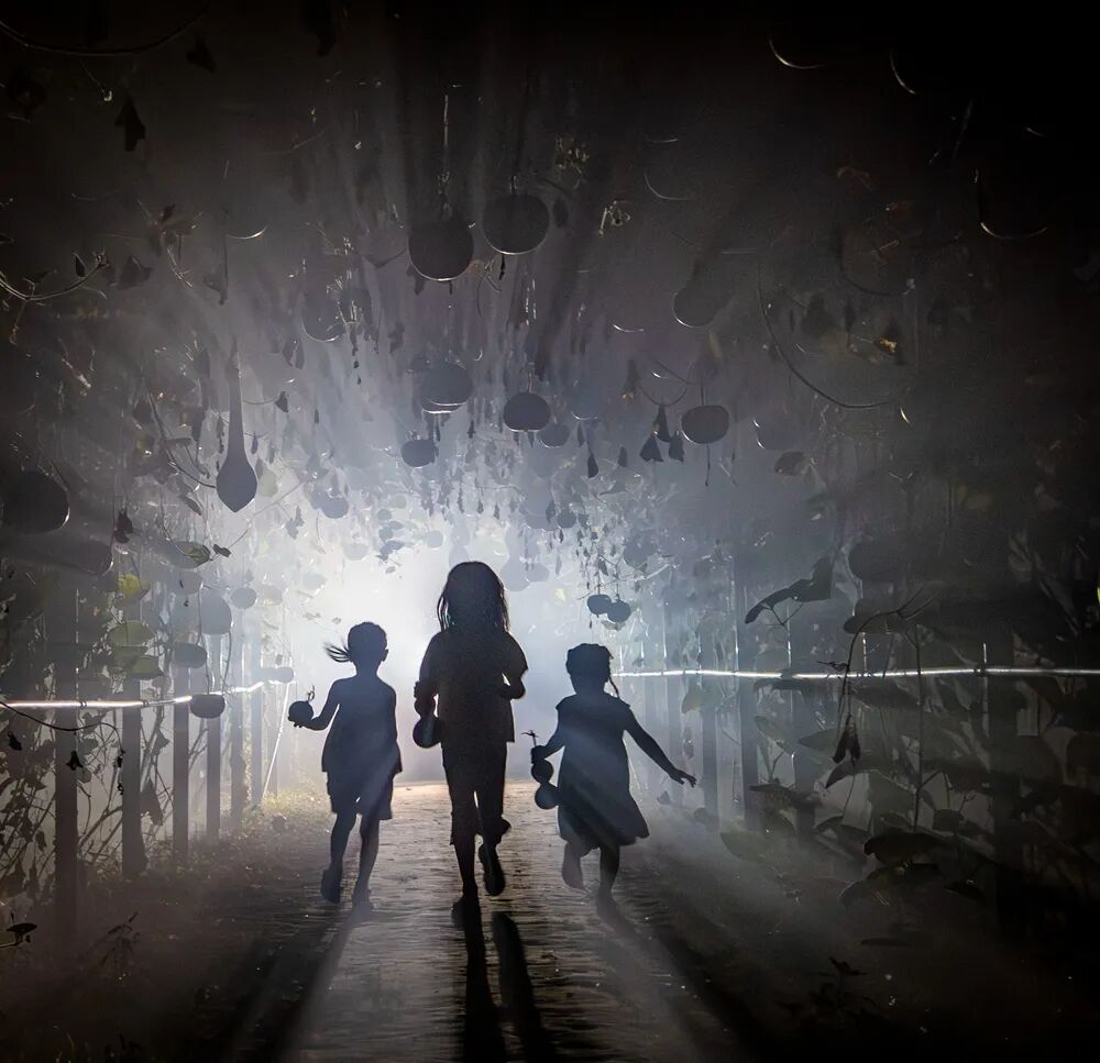 2026第二十届河南省“新人新作”摄影展入选作品公示(相机组二) · 作品图308