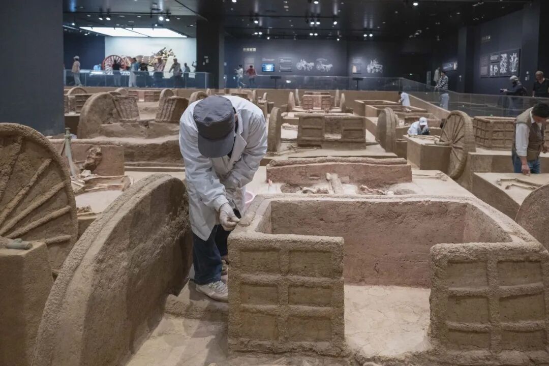 2026第二十届河南省“新人新作”摄影展入选作品公示(相机组一) · 作品图305