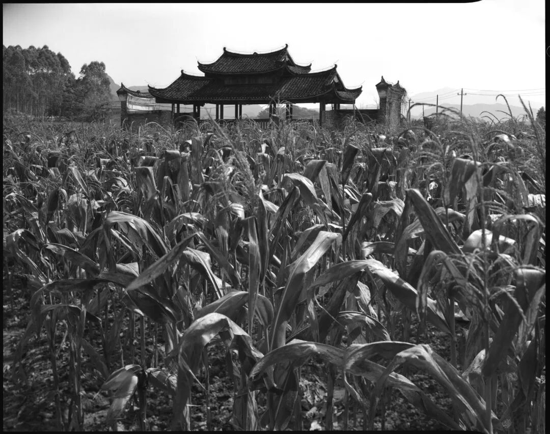 2026 “匠心营造·经典流传”第一届“中国古建筑”摄影大展 | 线上展览(三) · 作品图40