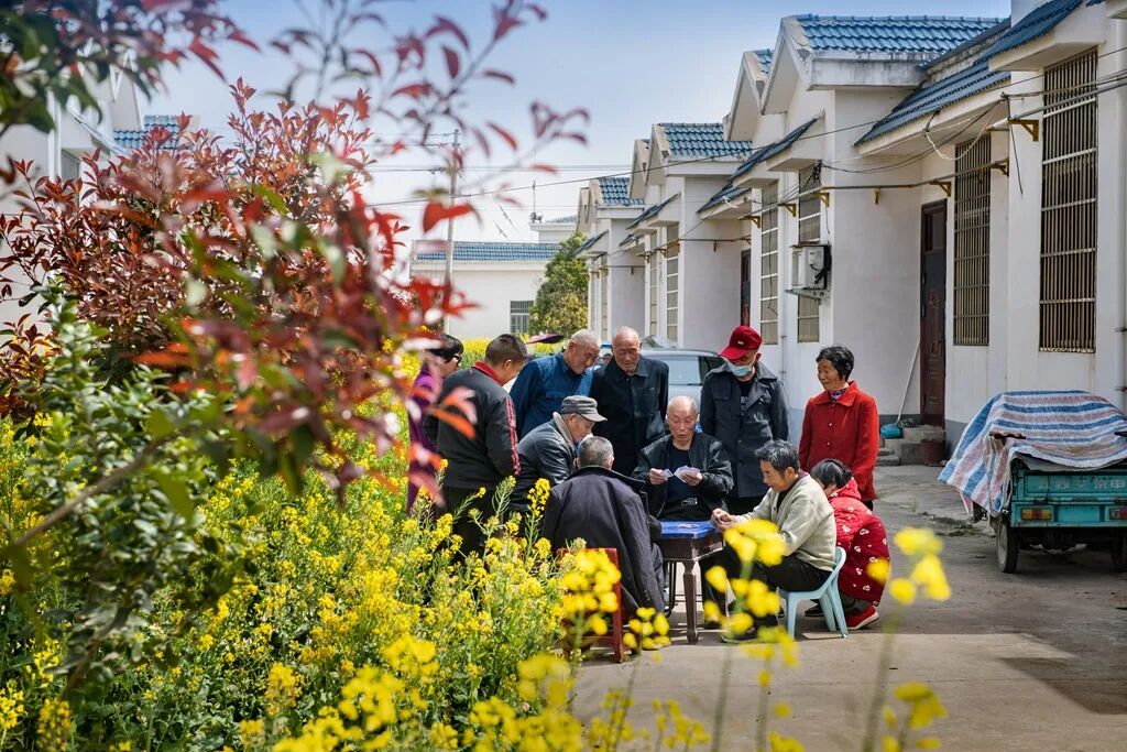 2026第二十届河南省“新人新作”摄影展入选作品公示(相机组一) · 作品图165