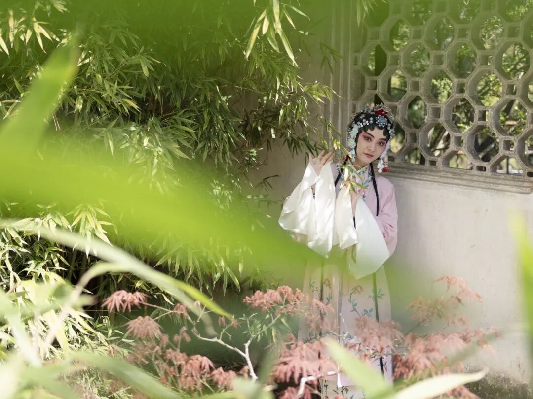 “看见·不可见之境”—苏州科技馆“微观世界”摄影作品征集大赛获奖公示 · 作品图232