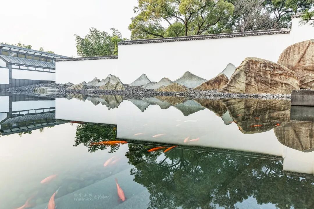 “看见·不可见之境”—苏州科技馆“微观世界”摄影作品征集大赛获奖公示 · 作品图150