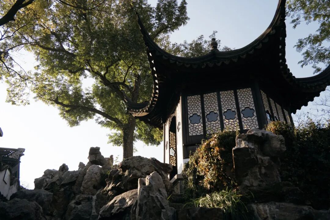 “看见·不可见之境”—苏州科技馆“微观世界”摄影作品征集大赛获奖公示 · 作品图164
