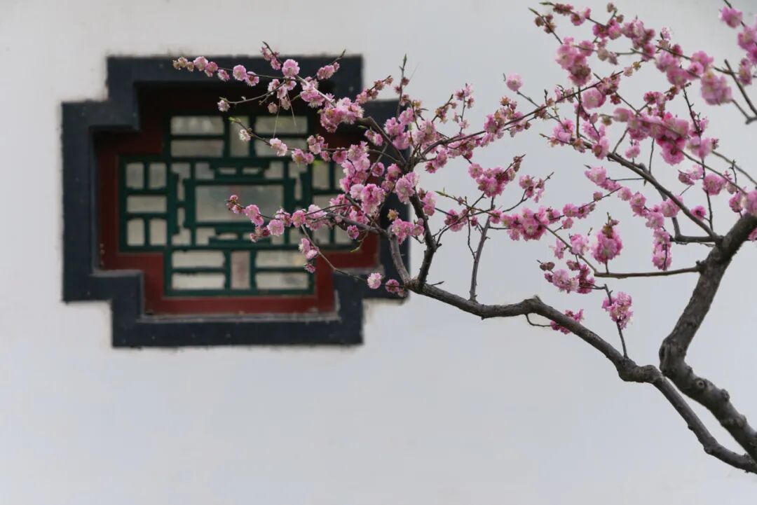 2026 “匠心营造·经典流传”第一届“中国古建筑”摄影大展 | 线上展览(三) · 作品图142