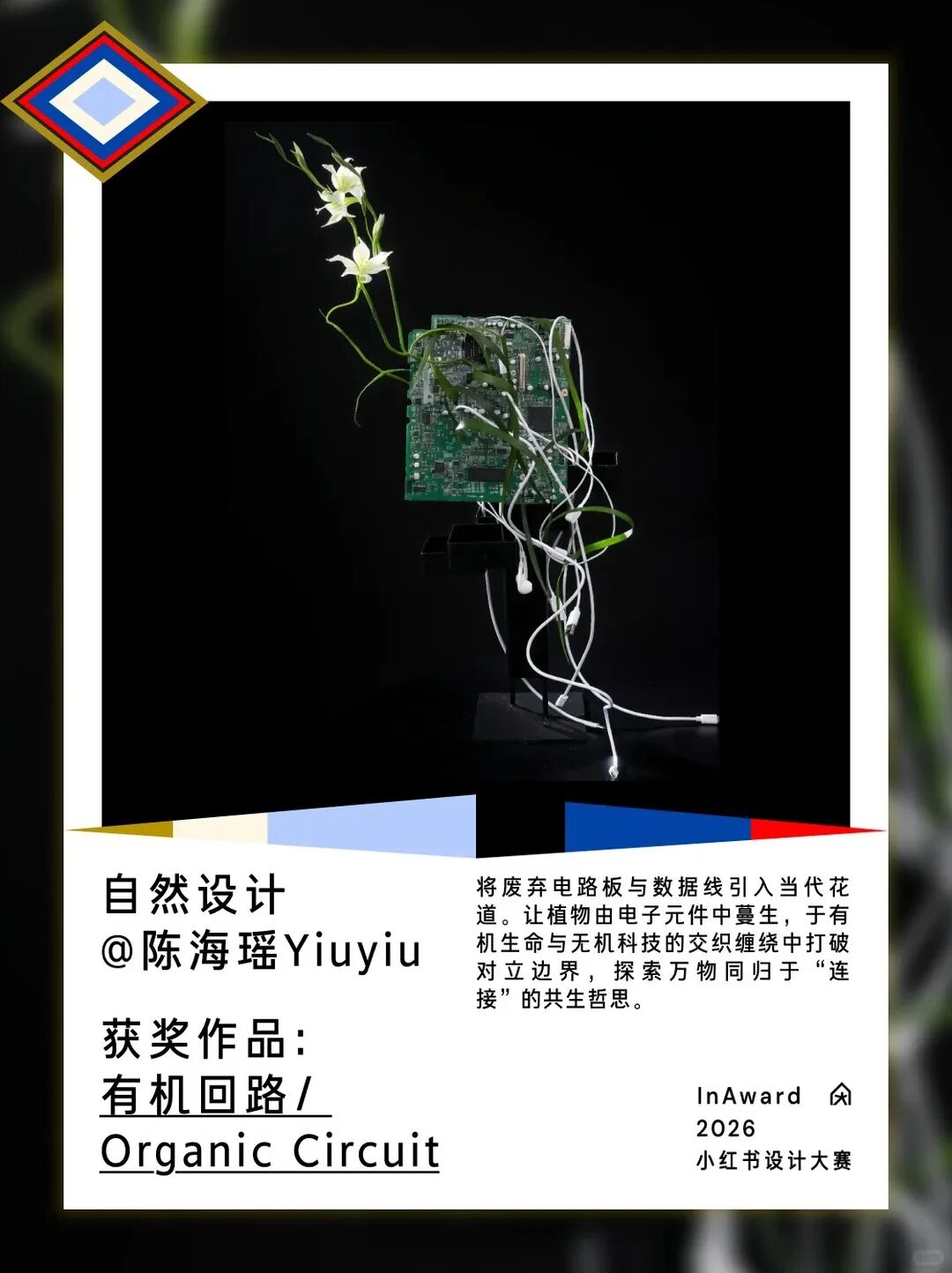 设计生长,终成繁茂|InAward2026 获奖名单及作品 · 作品图79