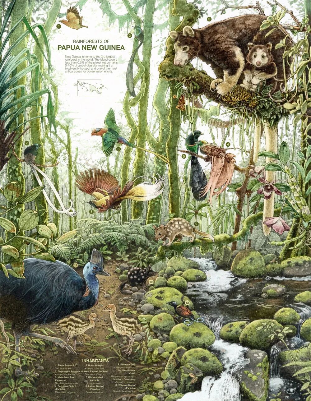 2026世纪插画大奖The World Illustration Awards 2026(WIA 2026)获奖名单及作品 · 作品图40
