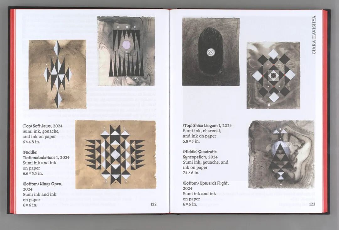 美国平面设计协会 AIGA(American Institute of Graphic Arts)2025 年最佳书籍与封面设计 · 作品图105
