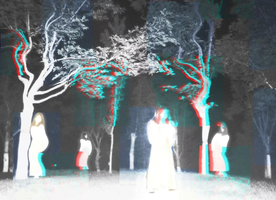 2026第二十届河南省“新人新作”摄影展入选作品公示(相机组二) · 作品图213