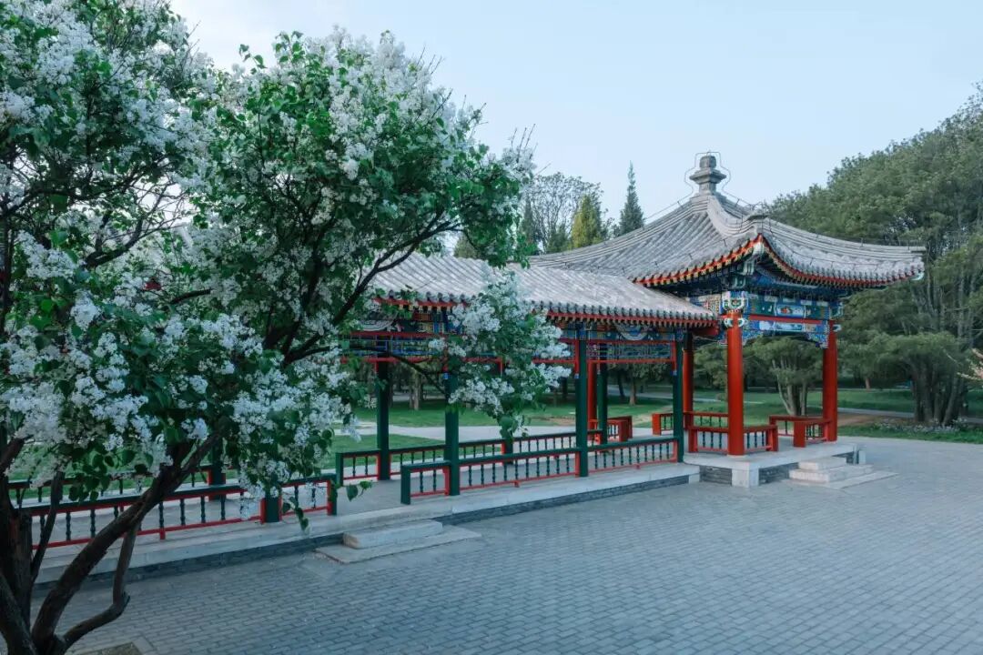 2026 “匠心营造·经典流传”第一届“中国古建筑”摄影大展 | 线上展览 (二) · 作品图313