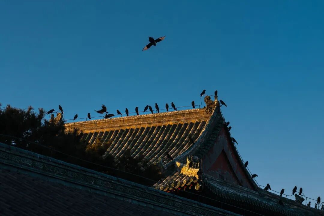 2026 “匠心营造·经典流传”第一届“中国古建筑”摄影大展 | 线上展览 (二) · 作品图295