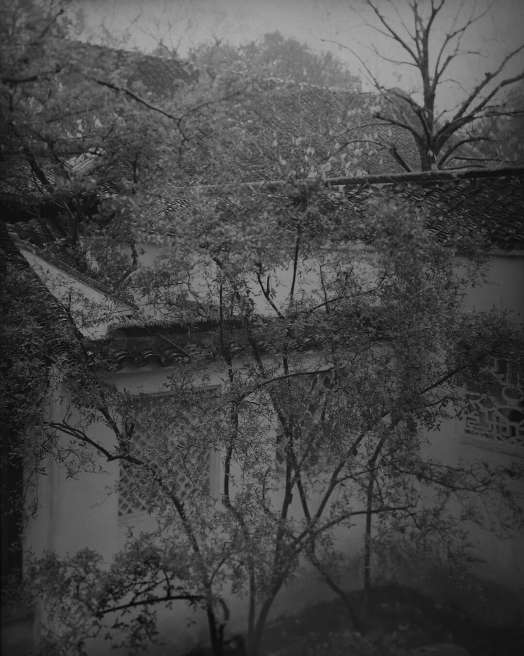2026 “匠心营造·经典流传”第一届“中国古建筑”摄影大展 | 线上展览(三) · 作品图343