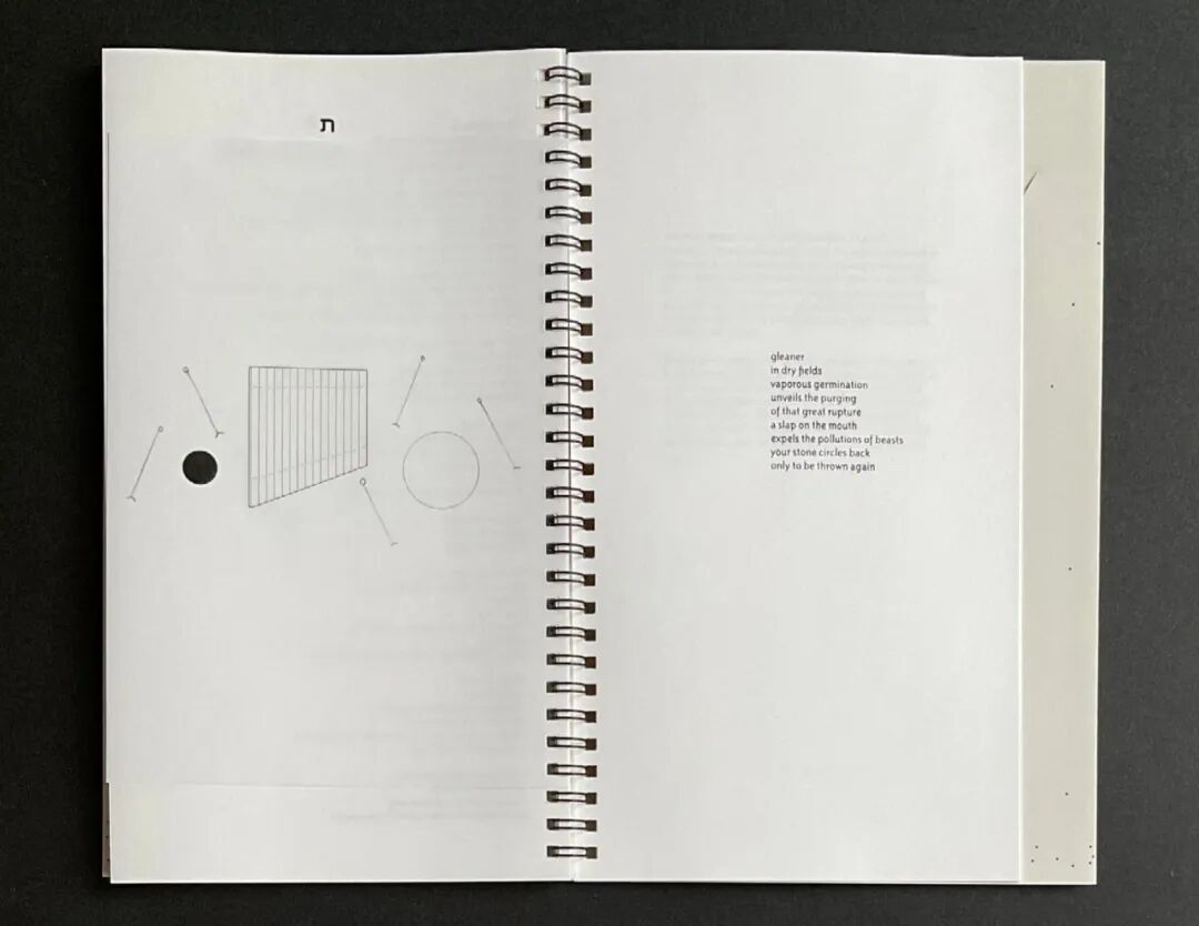 美国平面设计协会 AIGA(American Institute of Graphic Arts)2025 年最佳书籍与封面设计 · 作品图205