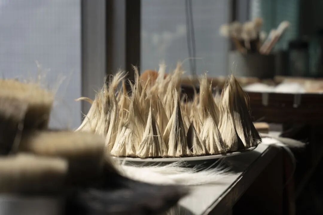 “看见·不可见之境”—苏州科技馆“微观世界”摄影作品征集大赛获奖公示 · 作品图236