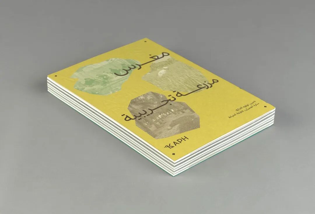 美国平面设计协会 AIGA(American Institute of Graphic Arts)2025 年最佳书籍与封面设计 · 作品图149