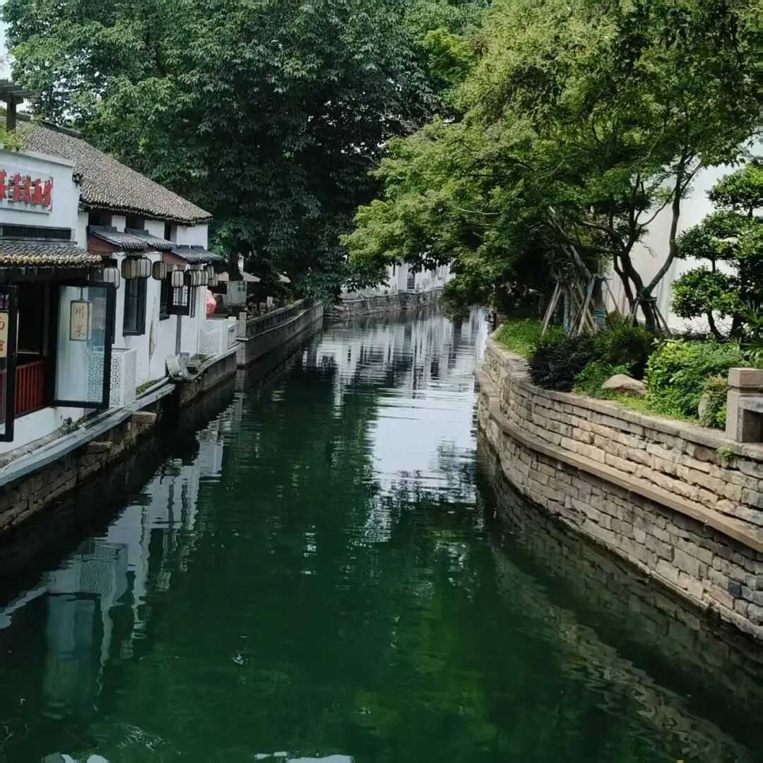 “看见·不可见之境”—苏州科技馆“微观世界”摄影作品征集大赛获奖公示 · 作品图173