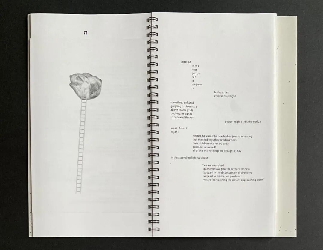 美国平面设计协会 AIGA(American Institute of Graphic Arts)2025 年最佳书籍与封面设计 · 作品图204