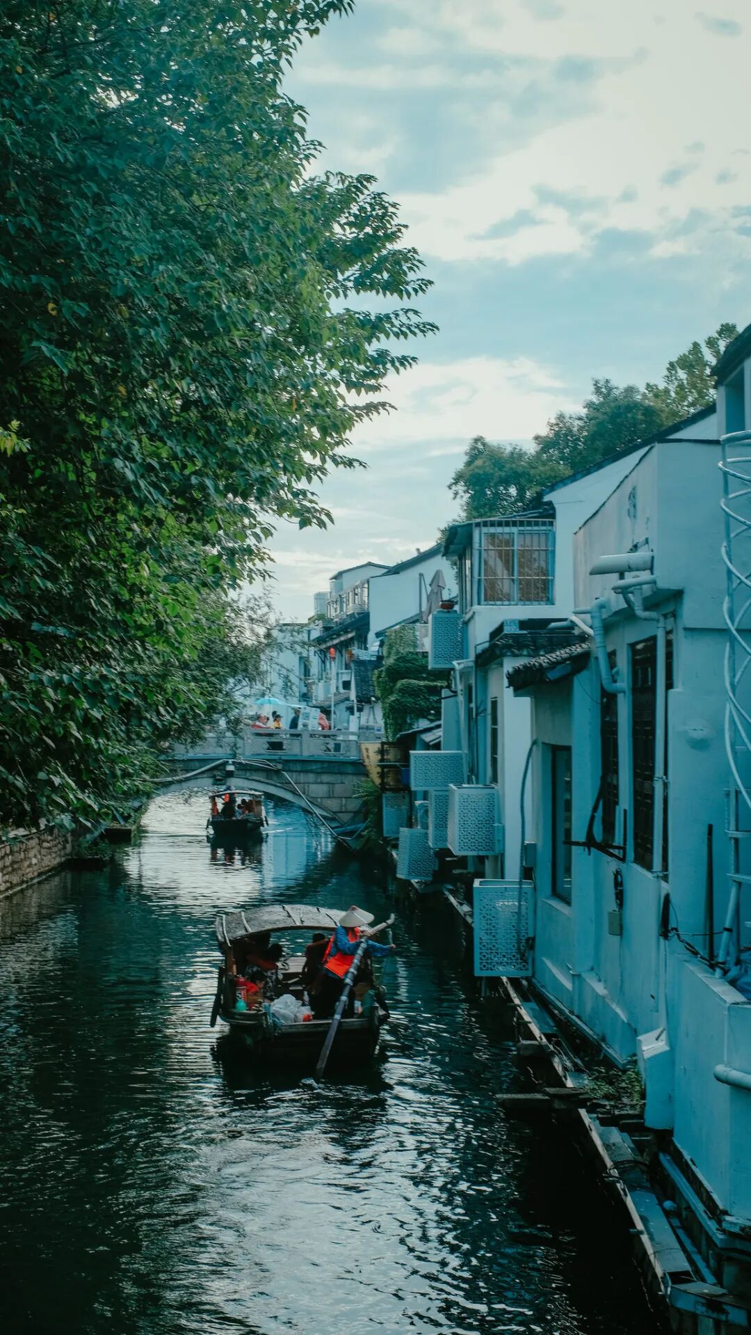 “看见·不可见之境”—苏州科技馆“微观世界”摄影作品征集大赛获奖公示 · 作品图190
