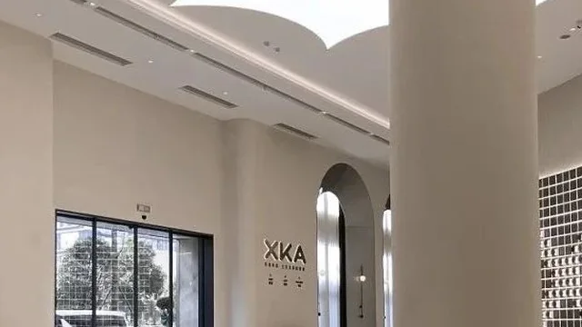 第九届顶峰设计奖 | 文教体医养空间实景类银奖：XKA接待展示大厅