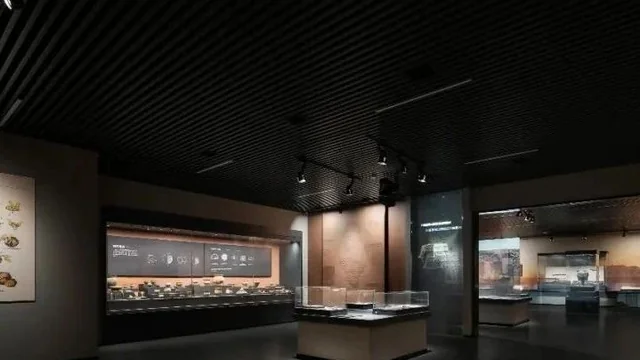 第九届顶峰设计奖 | 文教体医养空间实景类铜奖：川迥洞庭开