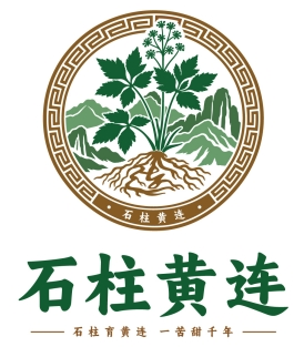 “石柱黄连”文化LOGO与宣传标语征集入围作品公示 · 作品图8
