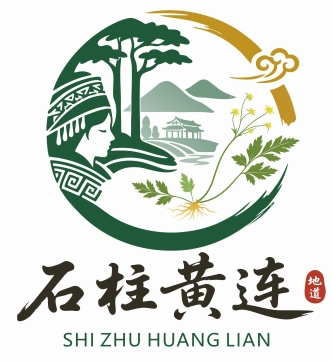 “石柱黄连”文化LOGO与宣传标语征集入围作品公示 · 作品图4