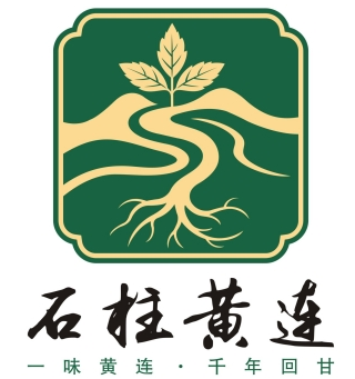 “石柱黄连”文化LOGO与宣传标语征集入围作品公示 · 作品图5