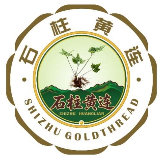 “石柱黄连”文化LOGO与宣传标语征集入围作品公示 · 作品图1