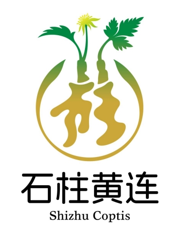 “石柱黄连”文化LOGO与宣传标语征集入围作品公示 · 作品图6