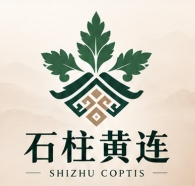 “石柱黄连”文化LOGO与宣传标语征集入围作品公示 · 作品图10