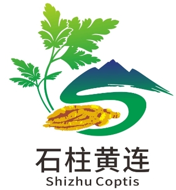 “石柱黄连”文化LOGO与宣传标语征集入围作品公示 · 作品图3