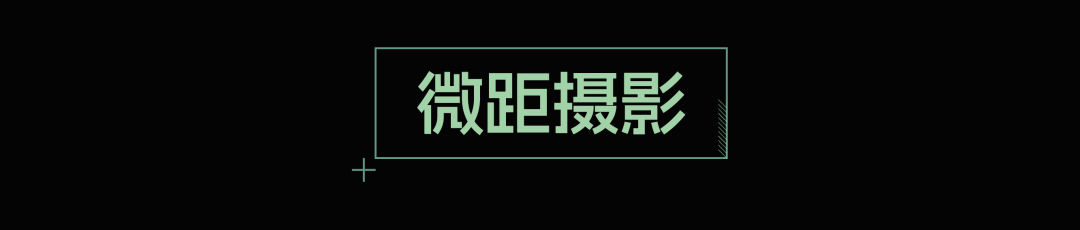 2026中国微生物影像艺术比赛获奖作品 · 作品图21