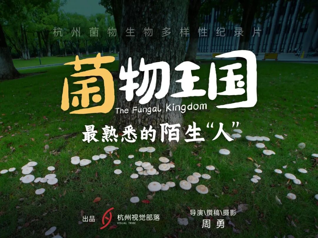2026中国微生物影像艺术比赛获奖作品 · 作品图42