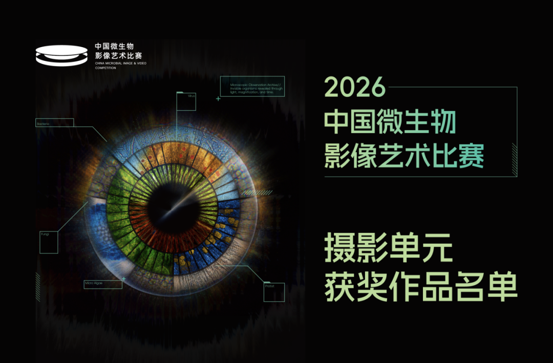 2026中国微生物影像艺术比赛获奖作品 · 作品图10