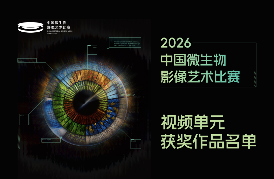 2026中国微生物影像艺术比赛获奖作品 · 作品图30