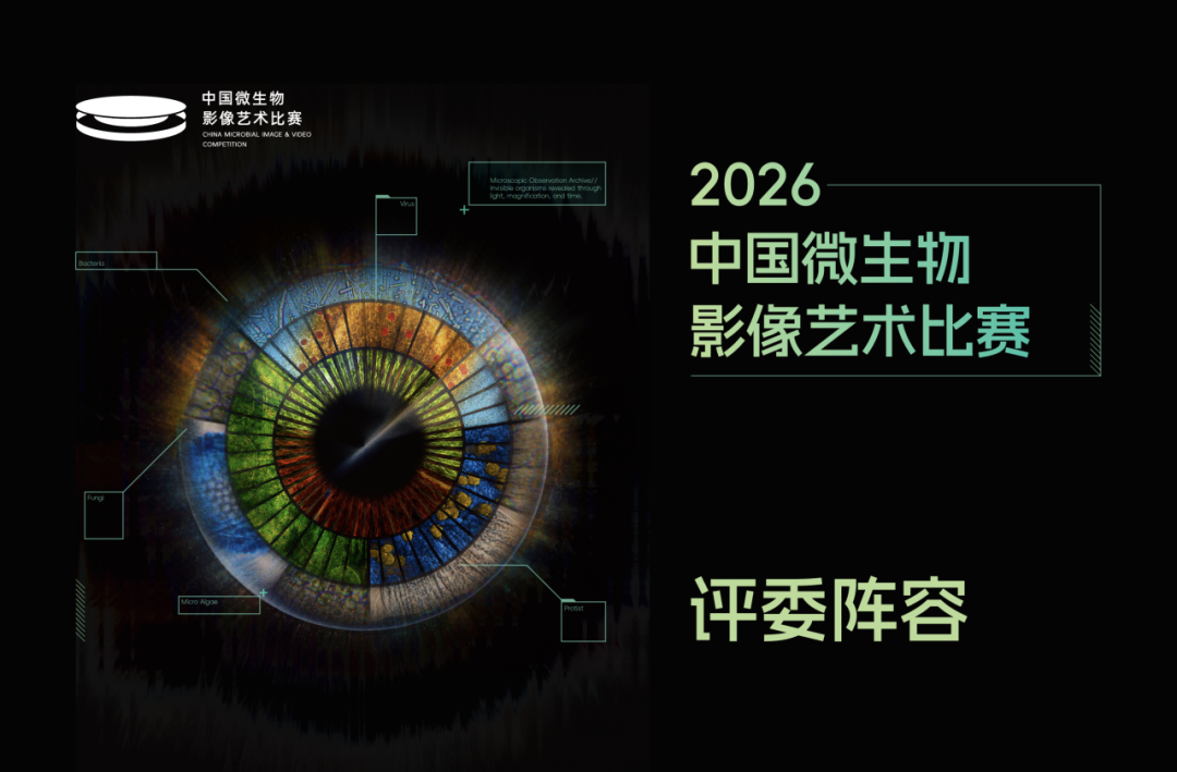 2026中国微生物影像艺术比赛获奖作品 · 作品图3