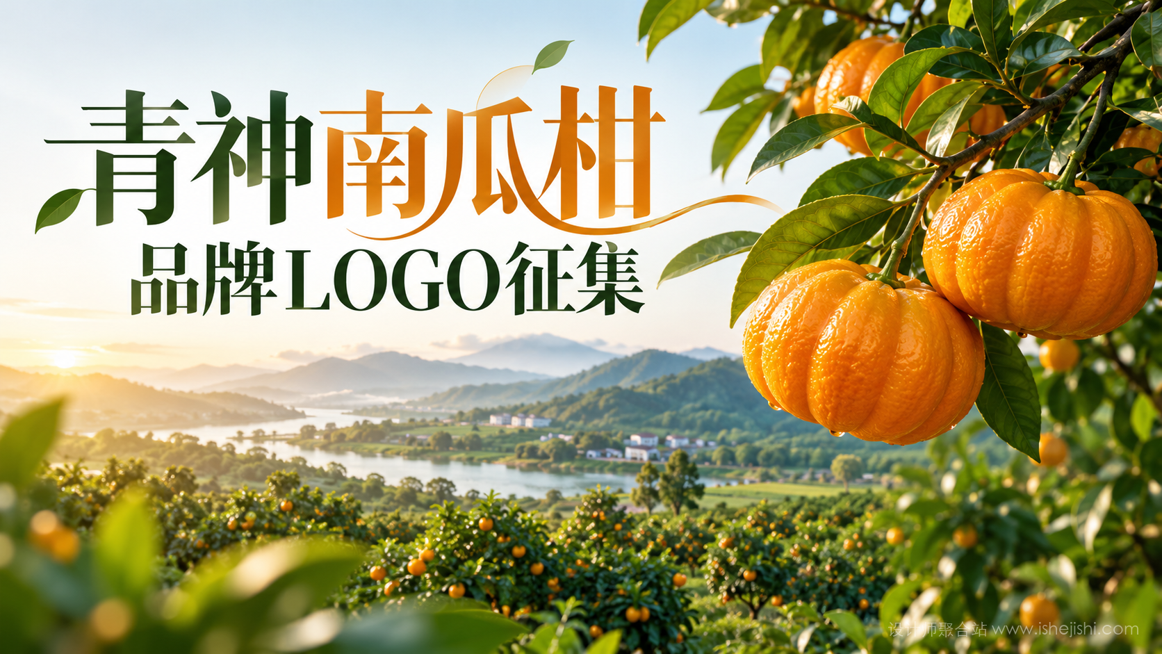 青神县“青神南瓜柑”品牌形象LOGO设计征集