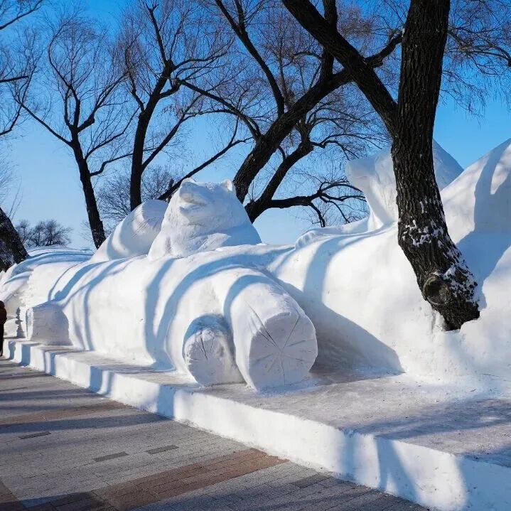 第七届松花江冰雪嘉年华创意雪雕园雪雕设计征集官方原图 第七届松花江冰雪嘉年华创意雪雕园雪雕设计征集官方原图