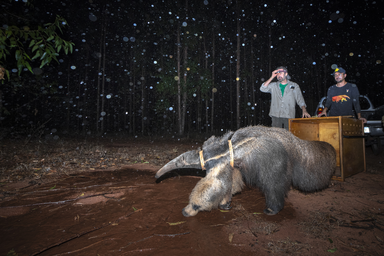 Environmental Photography Award 2027 摩纳哥环境摄影大赛官方原图 Environmental Photography Award 2027 摩纳哥环境摄影大赛官方原图