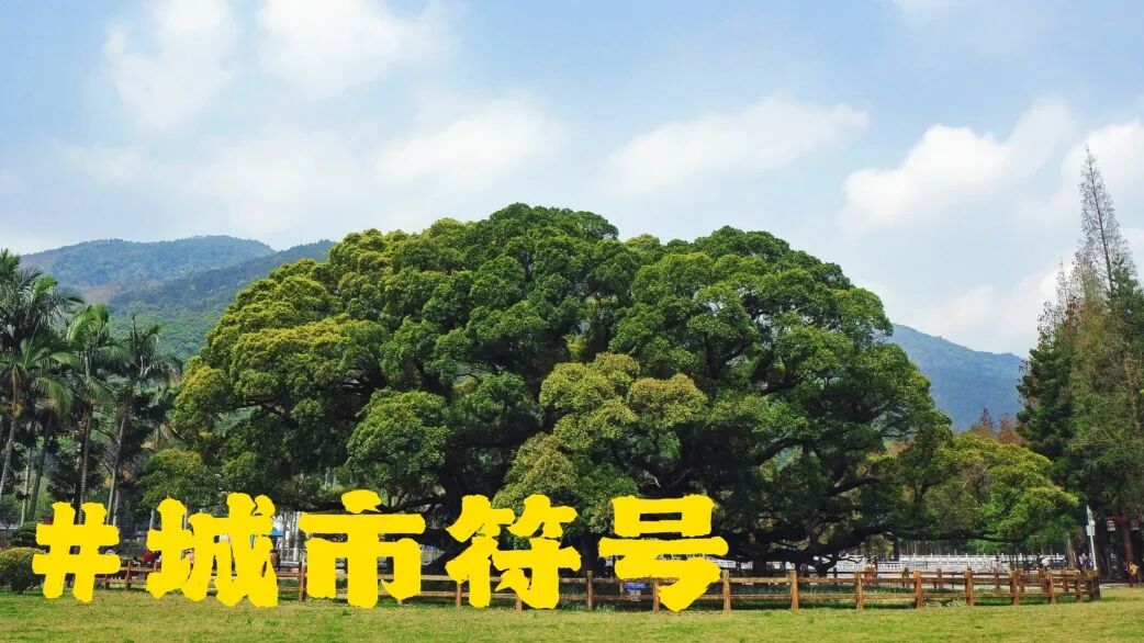 有福之州文创设计大赛官方内容图6 有福之州文创设计大赛官方内容图6