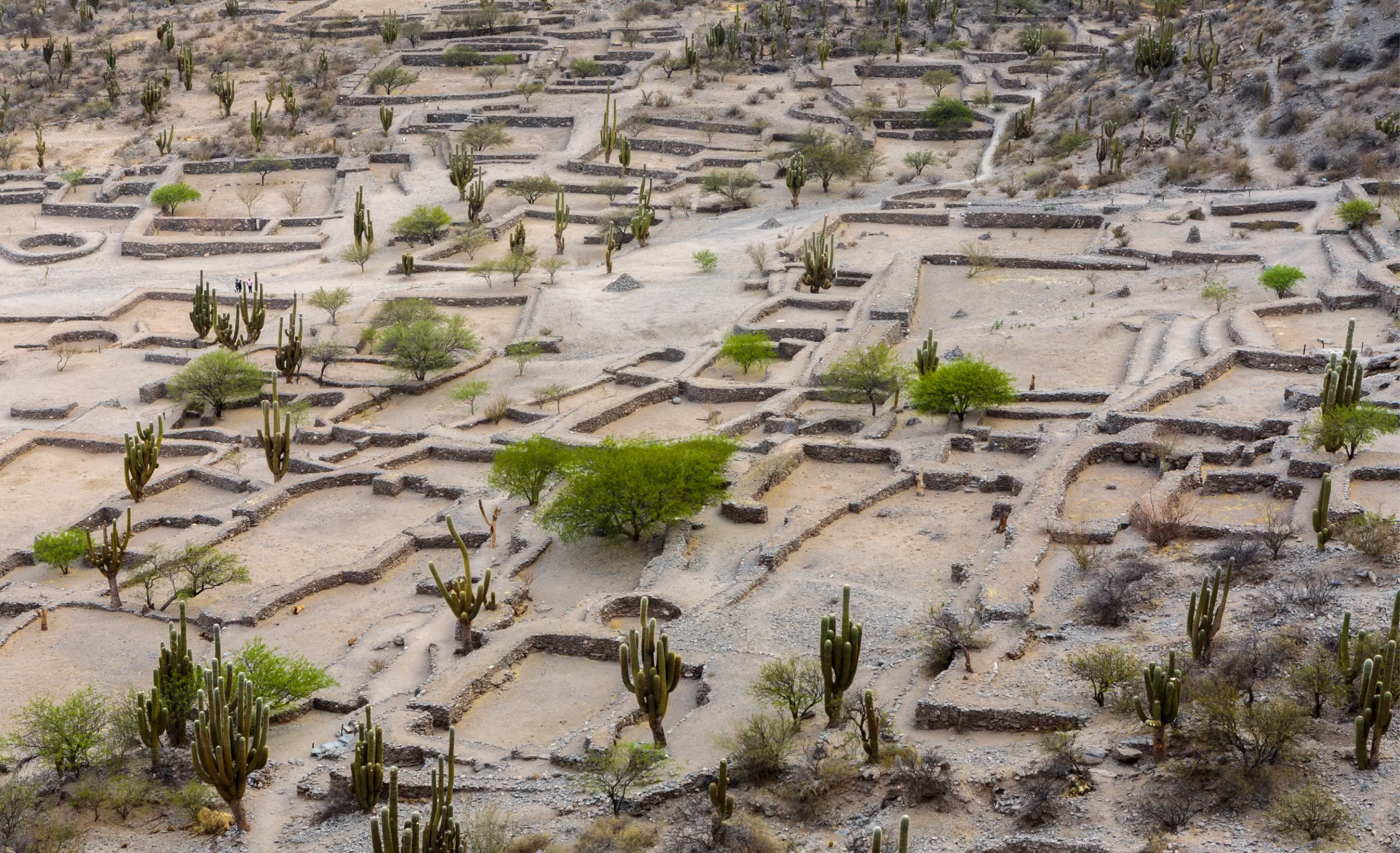 2026基尔梅斯废墟设计竞赛（Ruinas de Quilmes）